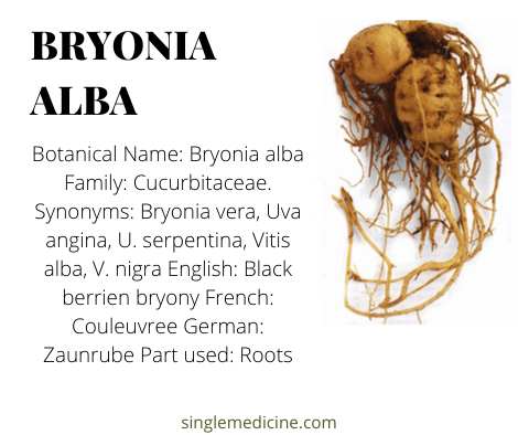 bryonia alba - an overview  
